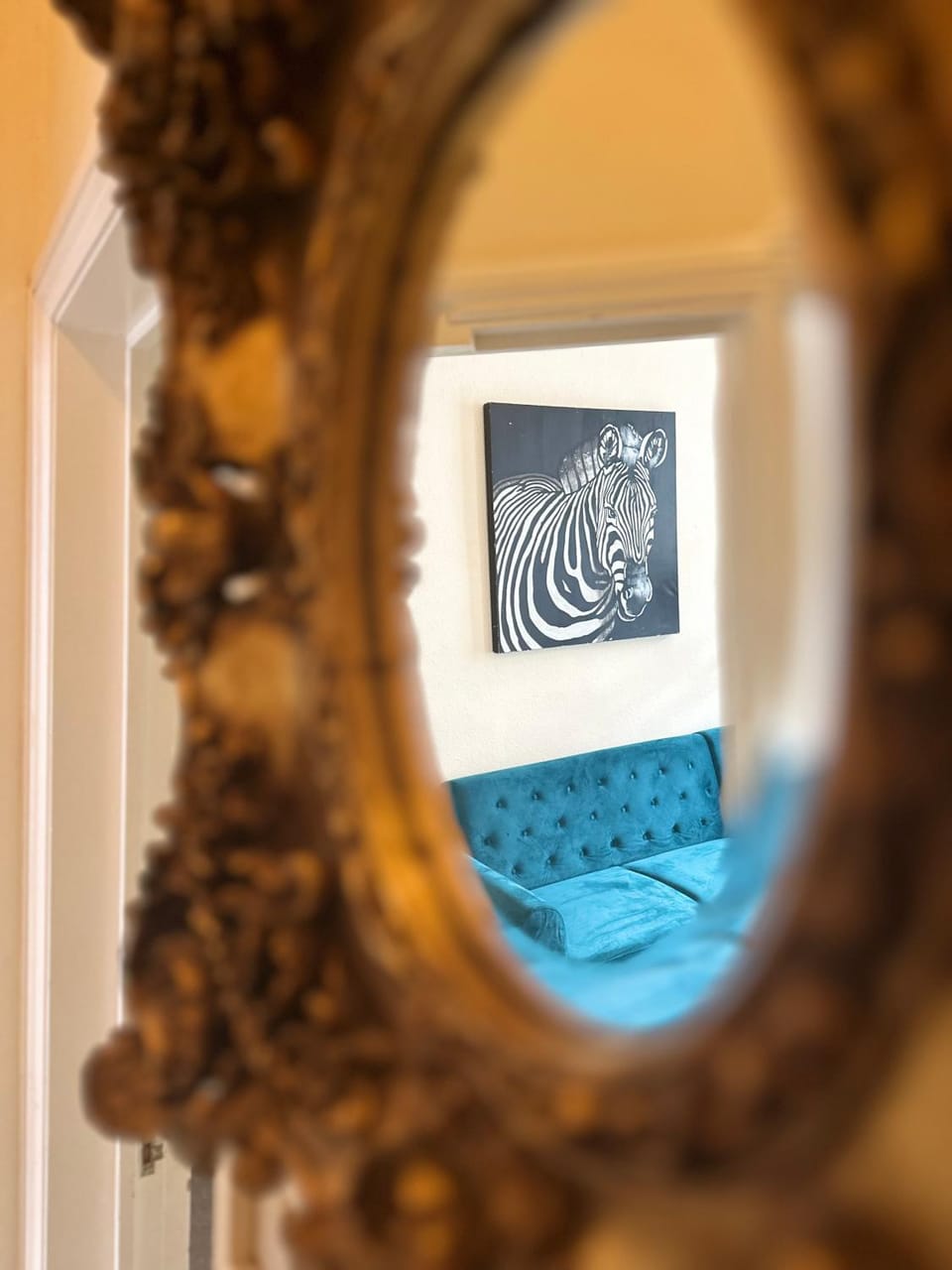 1 Bedroom Apartment By Guest Nest Management Self Catering Holiday Rentals Brighton - Perfect For Small Families Apartment in Brighton