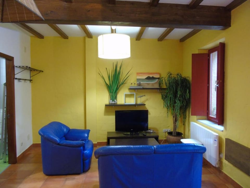 Loft O Viñal Apartment in Galicia