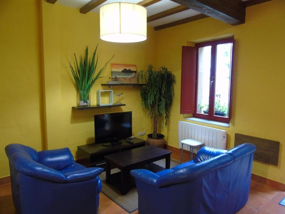 Loft O Viñal Apartment in Galicia
