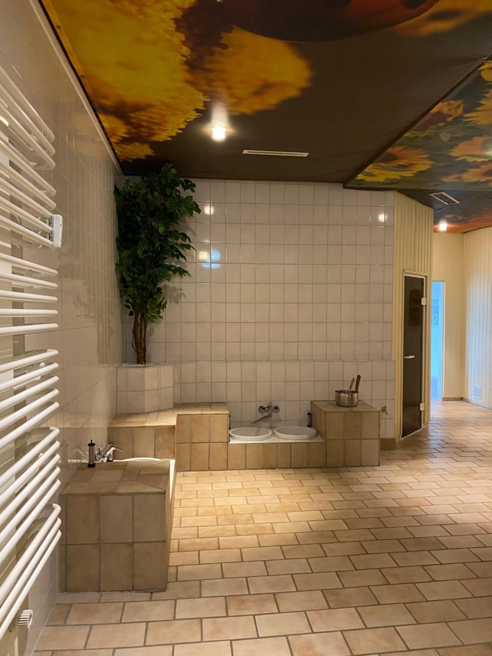Sauna, Spa and wellness centre/facilities
