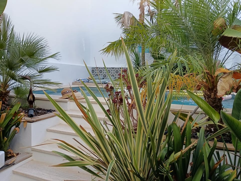 Patio, Garden, Swimming pool
