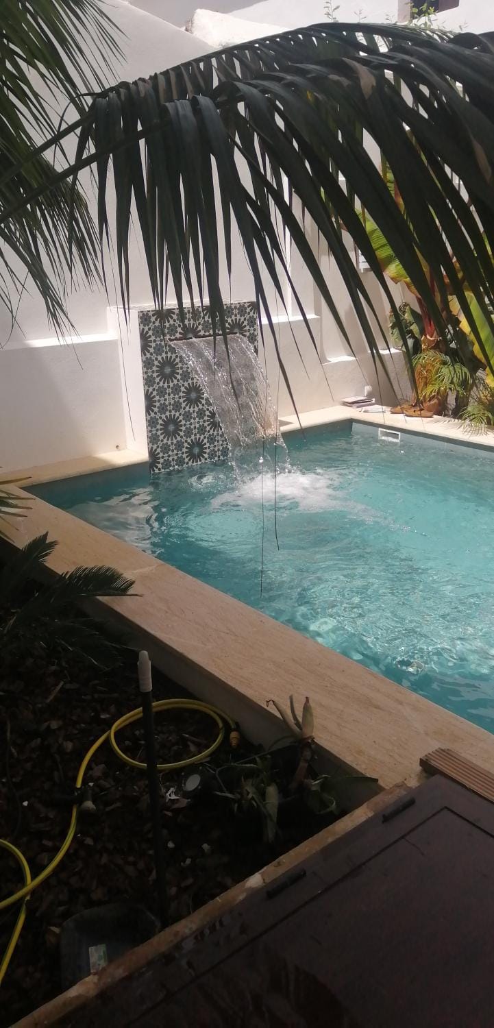 Garden, Hot Tub, Swimming pool, Swimming pool
