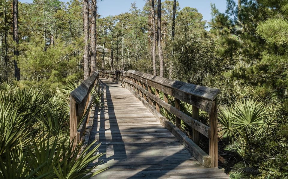 Dreamy Afterdune House in South Walton County