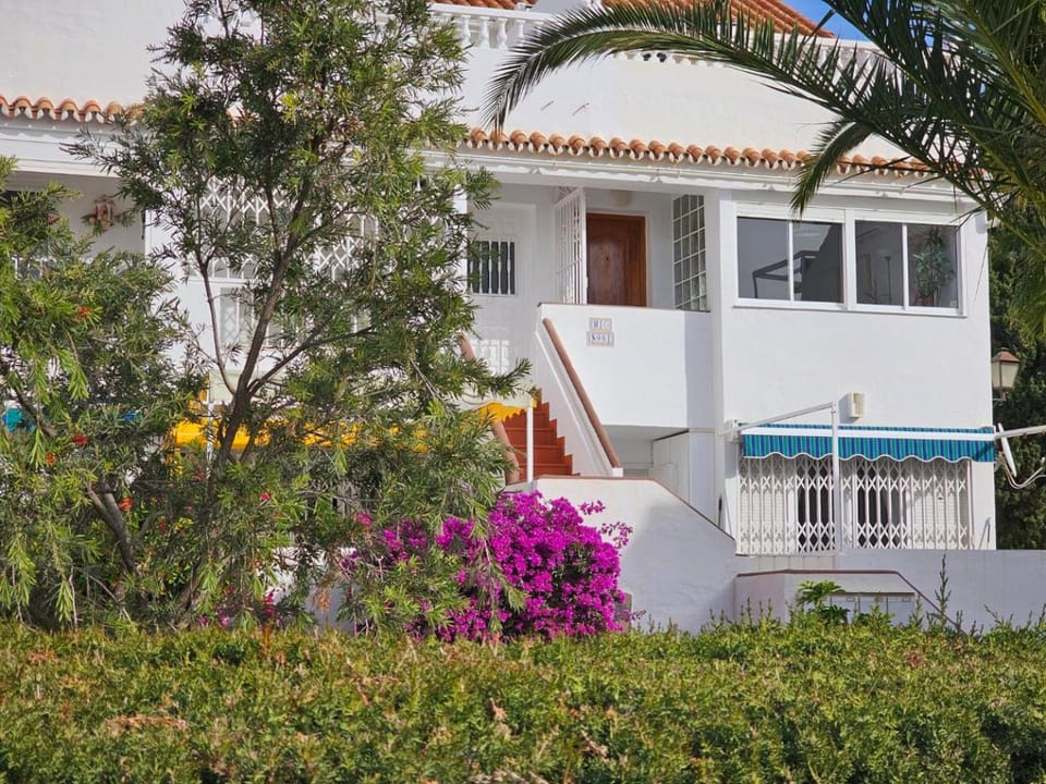 Property building, Garden, Garden view