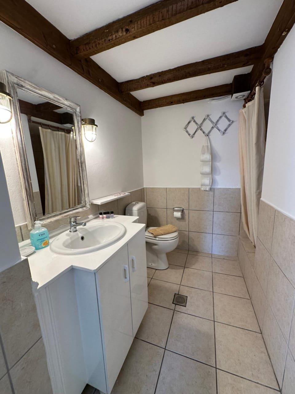 Shower, Toilet, Bathroom, towels
