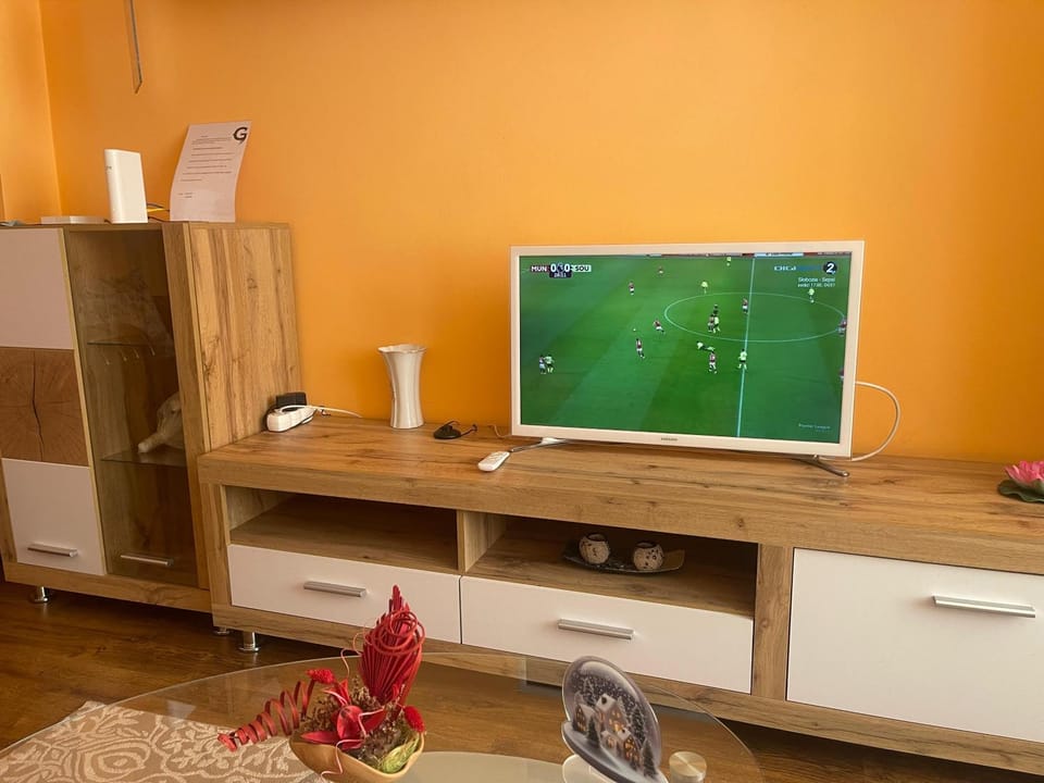 TV and multimedia