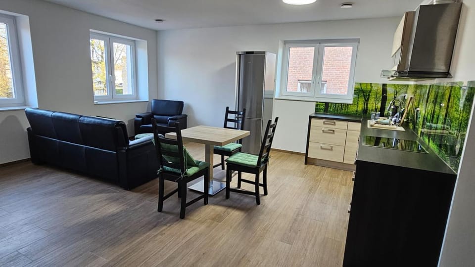 Kitchen or kitchenette, Living room, Seating area, Dining area, stove