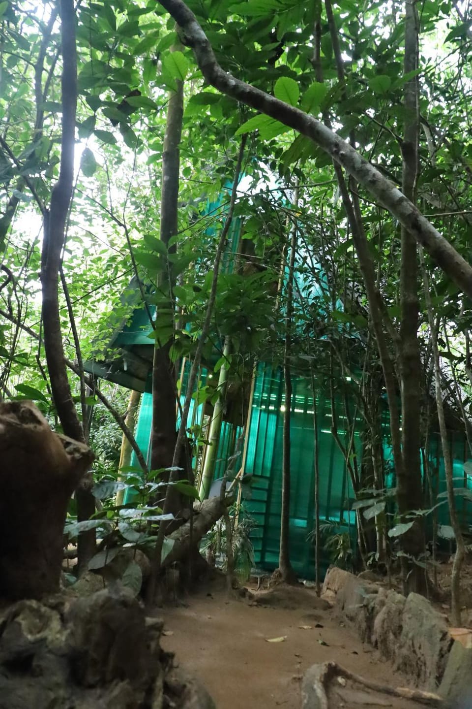 Bamboo Cabana Adams Peak Resort in Central Province