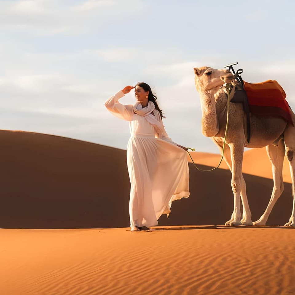 Day, People, Natural landscape, Horse-riding, Animals, group of guests