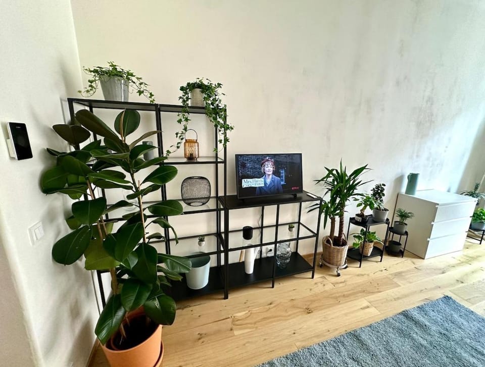 Communal lounge/ TV room, TV and multimedia, Evening entertainment