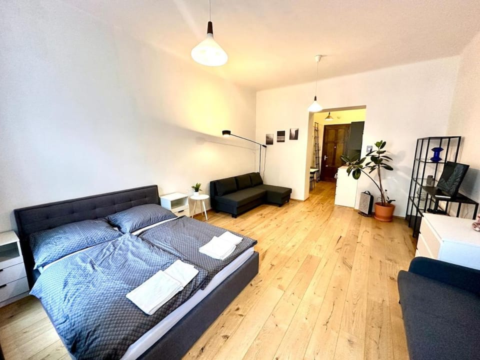 Bed, TV and multimedia, Living room, Seating area, Bedroom