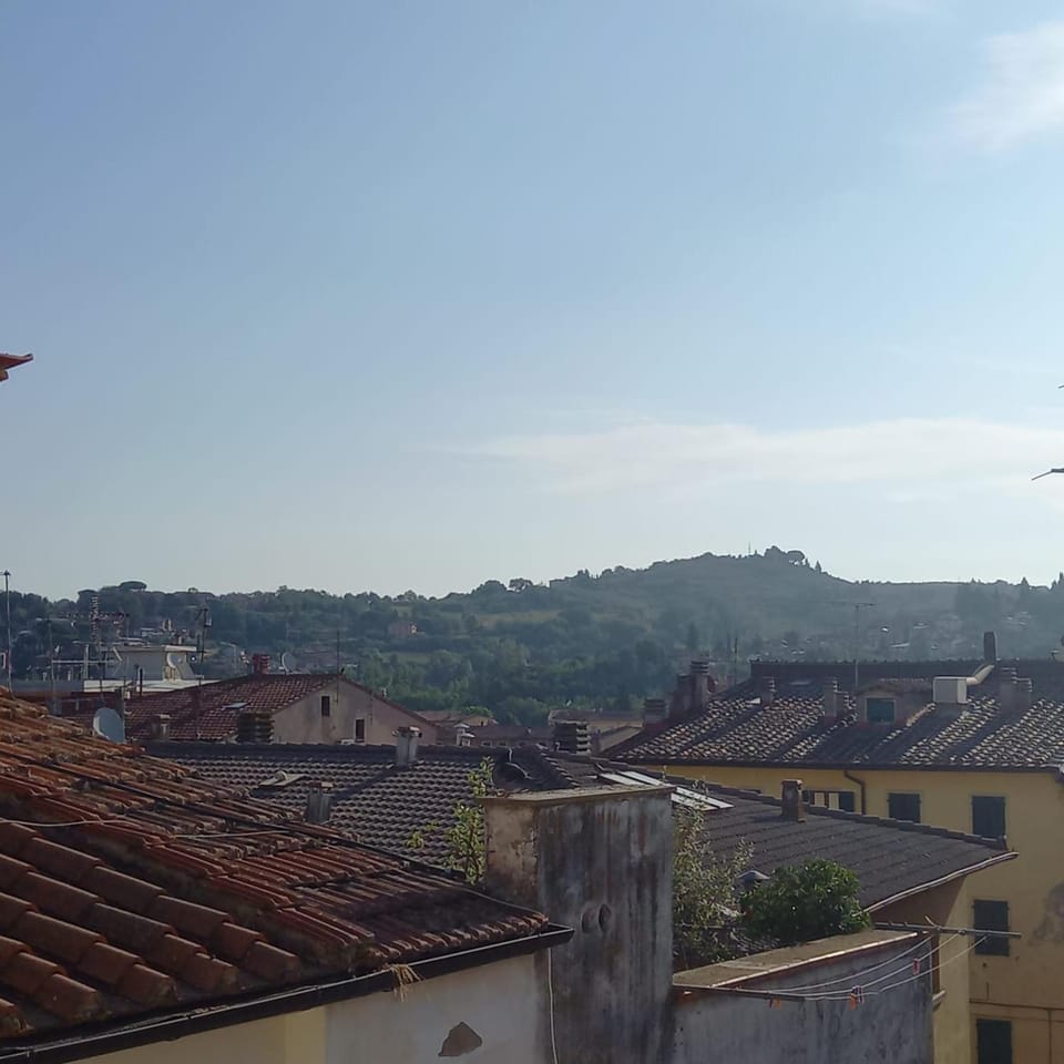 View (from property/room)