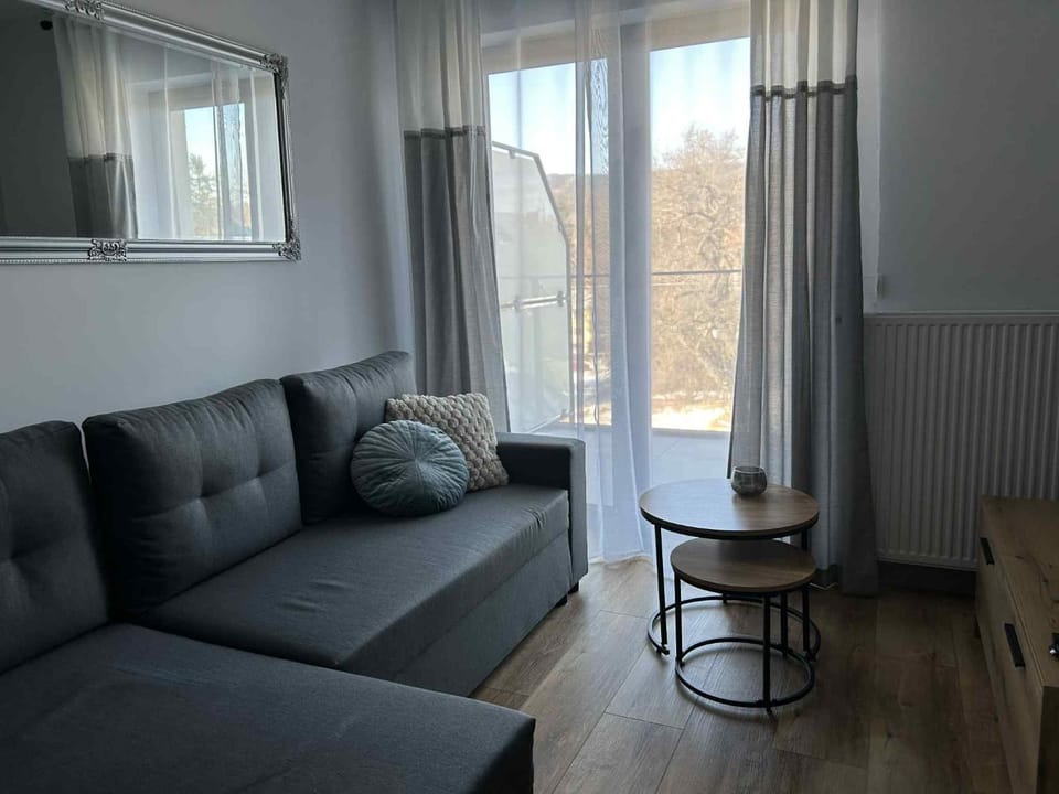 Belle View Apartment in Lower Silesian Voivodeship