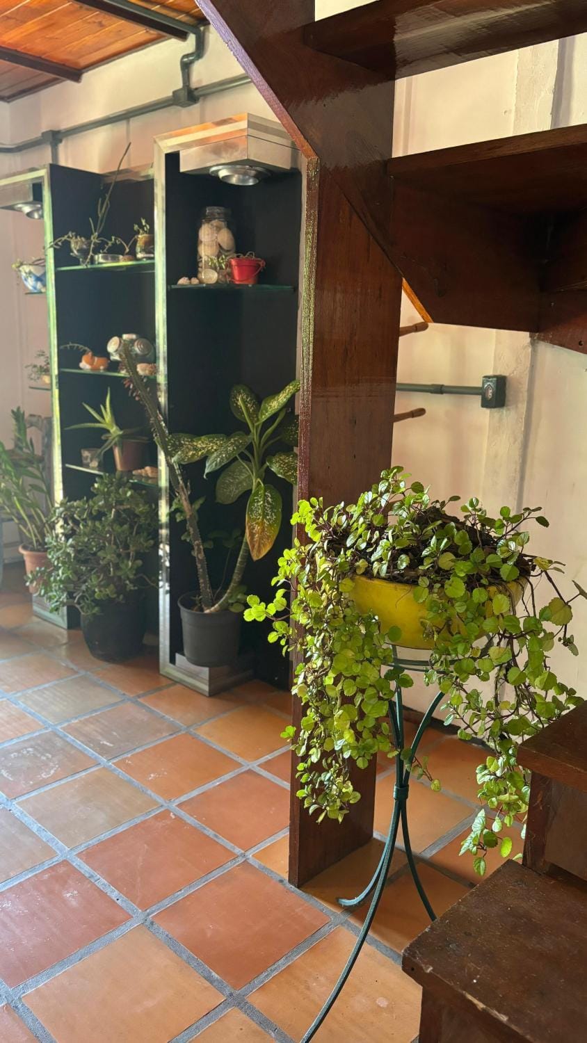 Patio, Seating area