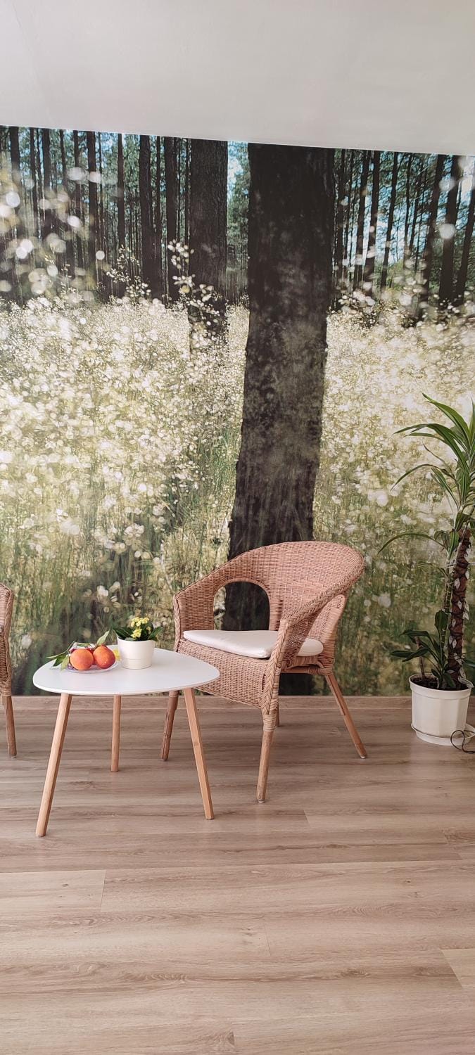 Spring, Living room, Seating area
