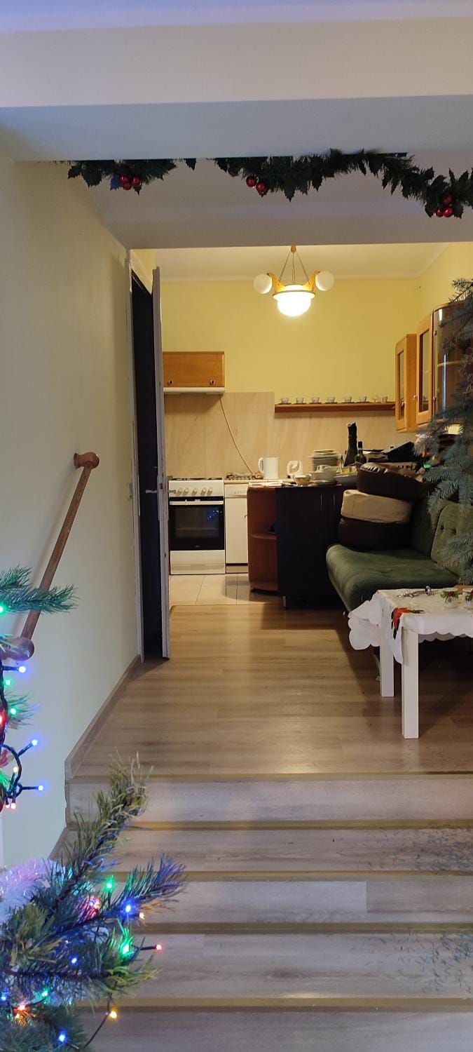 Kitchen or kitchenette, Dining area, Breakfast, stove
