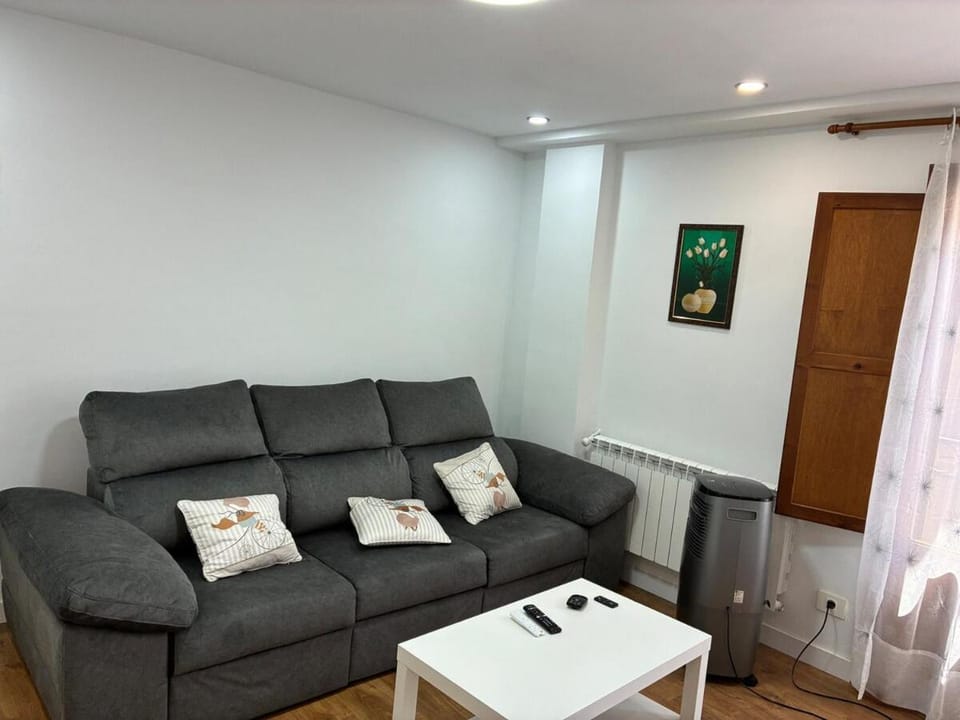 Entre Castillo y Catedral 2VUT09734 Apartment in Burgos