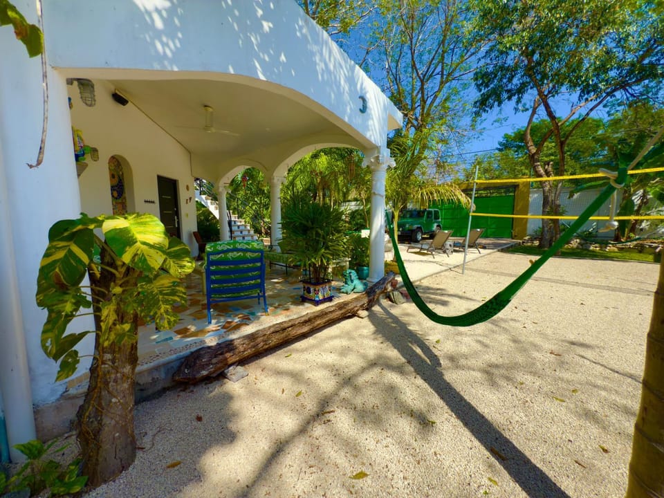 Property building, Garden, Garden view