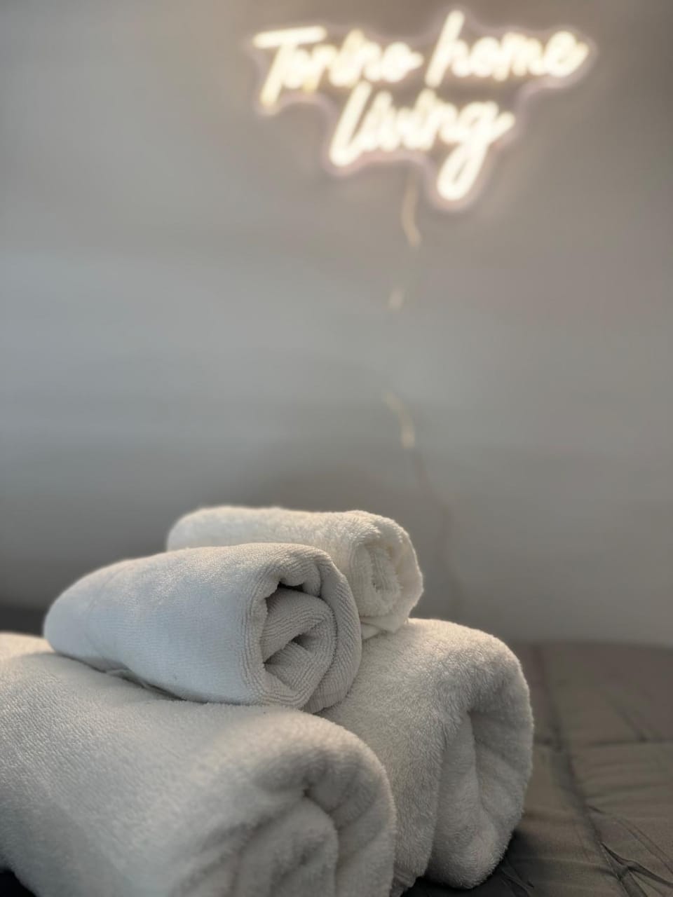 Apartament Eclipse, 300mt dalla Stazione di Porta Susa - Torino Home Living Apartment in Turin