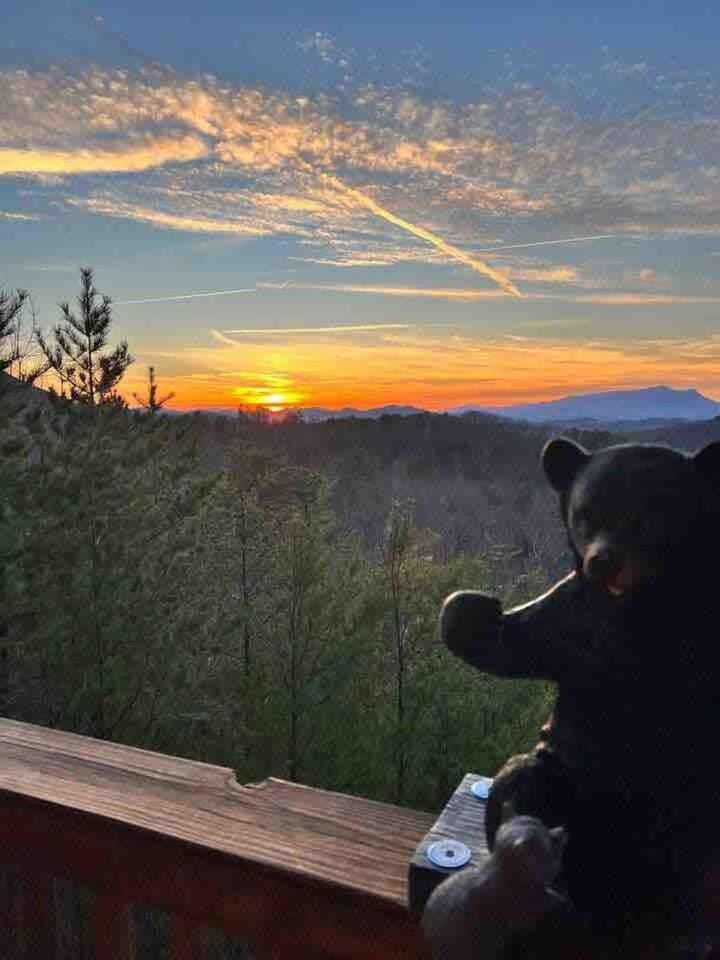 Beautiful Bear Haven House in Sevier County