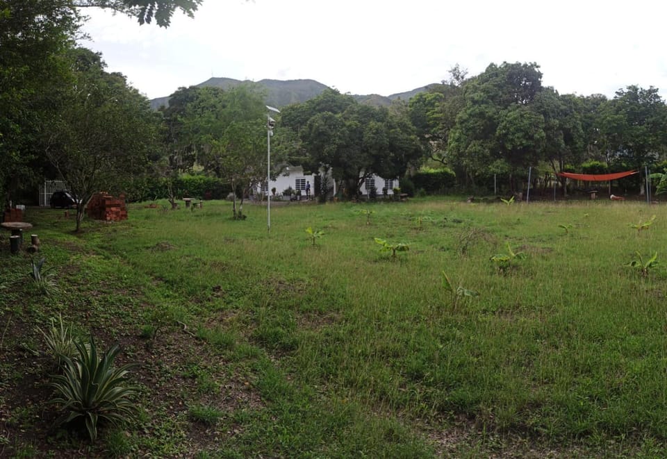 Natural landscape