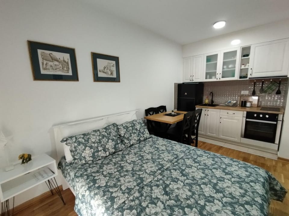 Sofika Apartment in Serbia