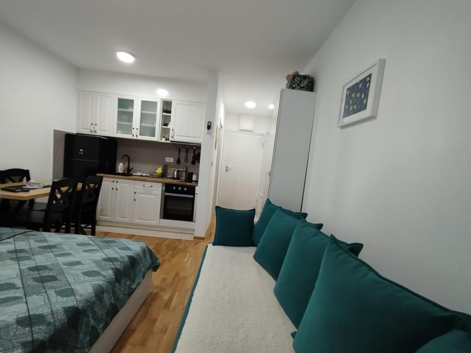 Sofika Apartment in Serbia