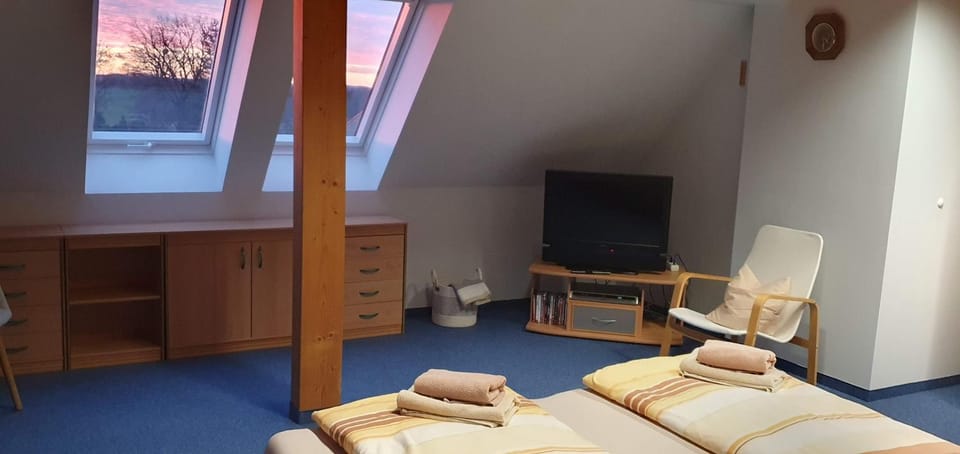 TV and multimedia, Guests