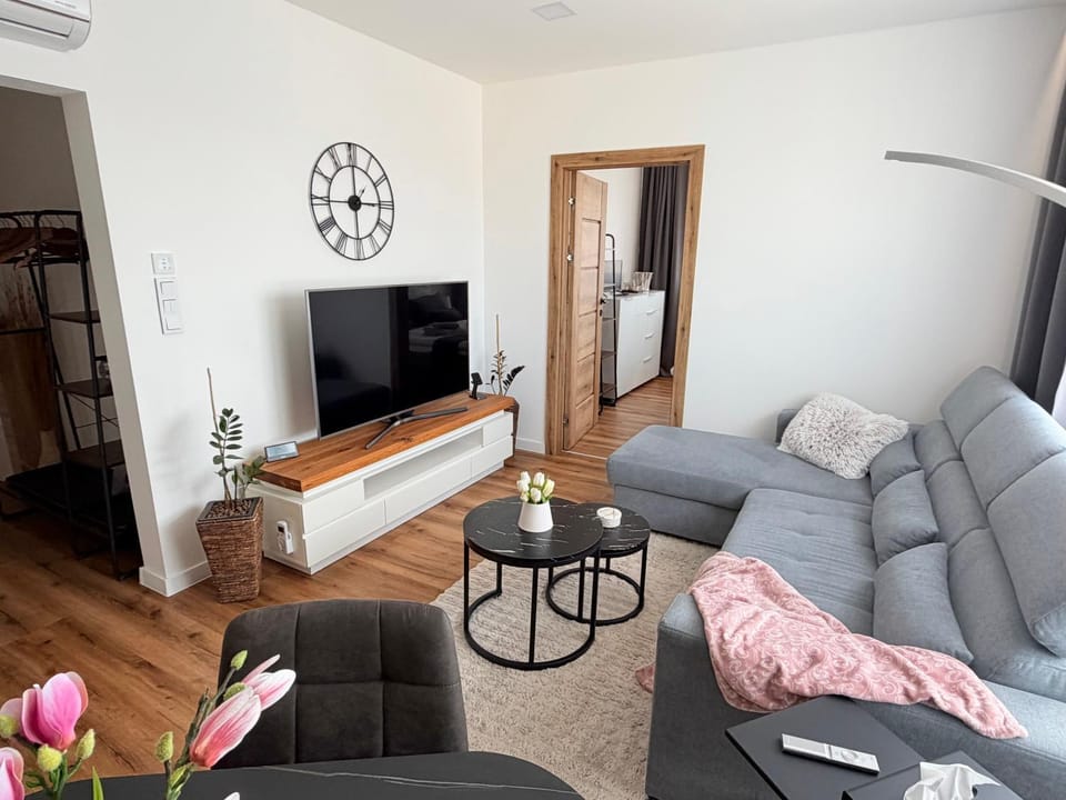 Communal lounge/ TV room, TV and multimedia, Living room, Seating area, heating, internet, safe, air conditioner