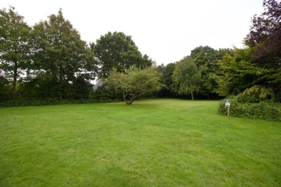 Spring, Day, Natural landscape, Garden, Garden view