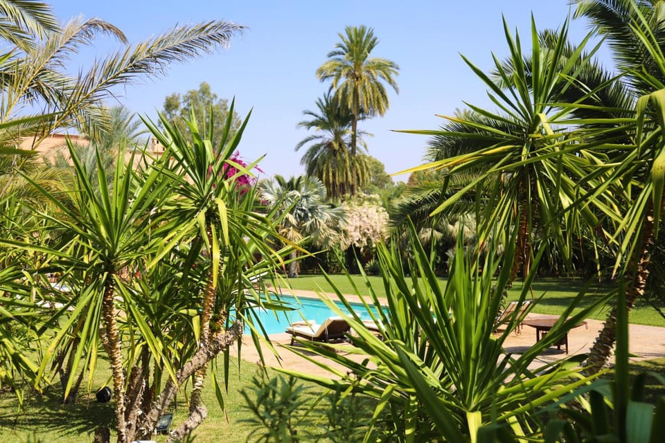 Garden, Garden view, Swimming pool
