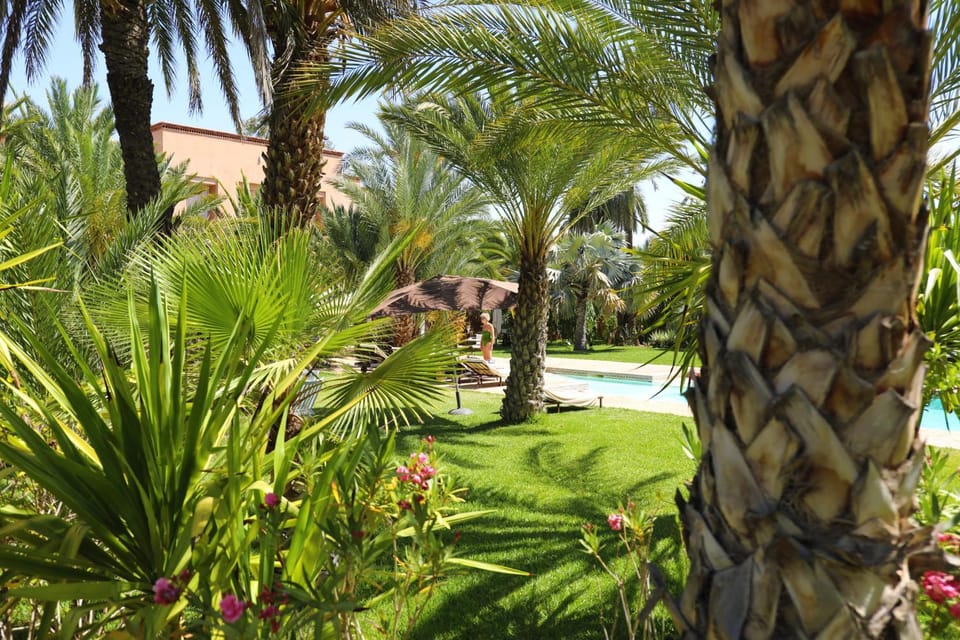 Day, Natural landscape, Garden, Garden view, Pool view, Swimming pool