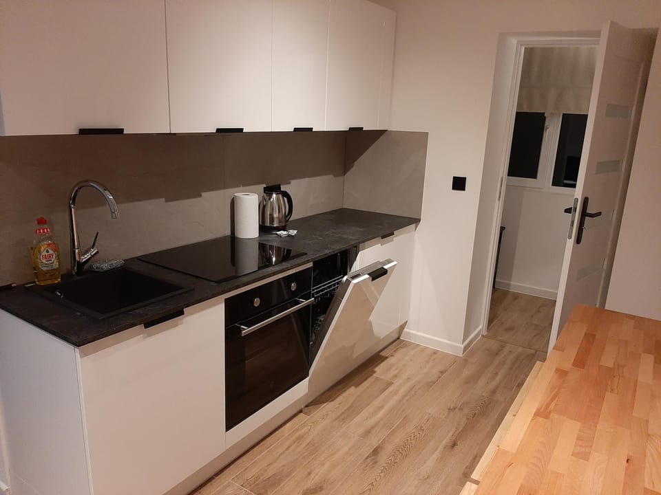 Kitchen or kitchenette, dishwasher, oven, pet friendly, stove
