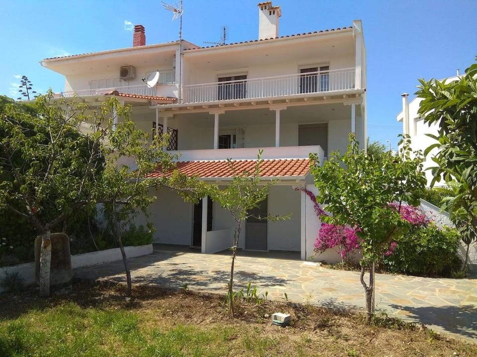 Property building, Garden, Garden view