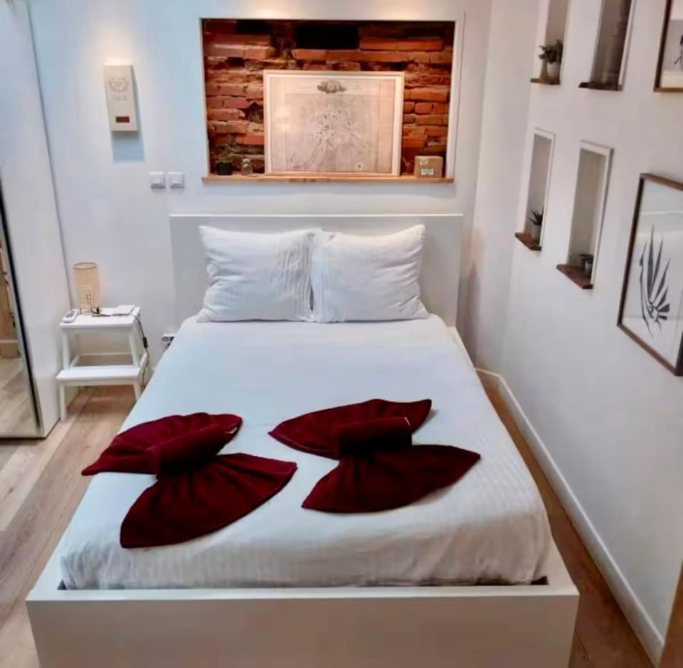 Charmant duplex au cœur de Toulouse Apartment in Toulouse