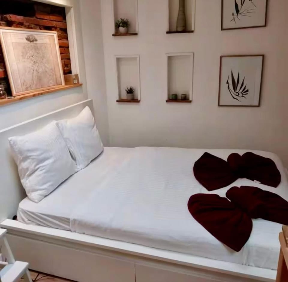 Charmant duplex au cœur de Toulouse Apartment in Toulouse