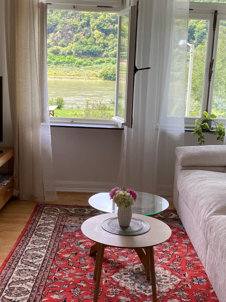 Villa Rheinblick 1 OG Apartment in Boppard