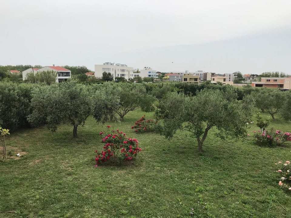 Apartments Victoria Privlaka Apartment in Zadar County