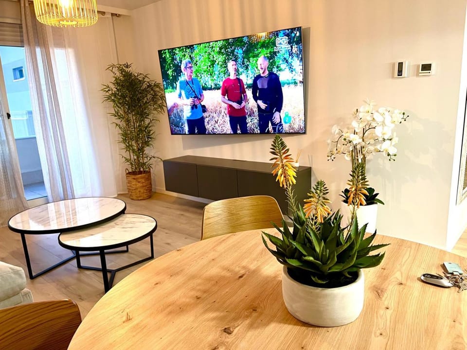 TV and multimedia