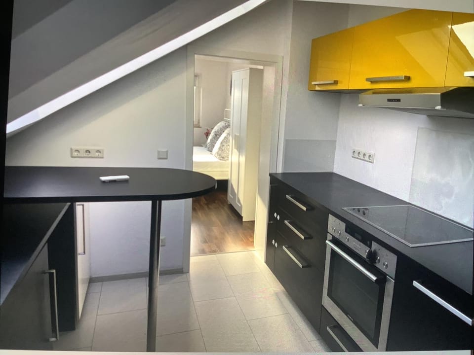 Kitchen or kitchenette, Photo of the whole room, stove