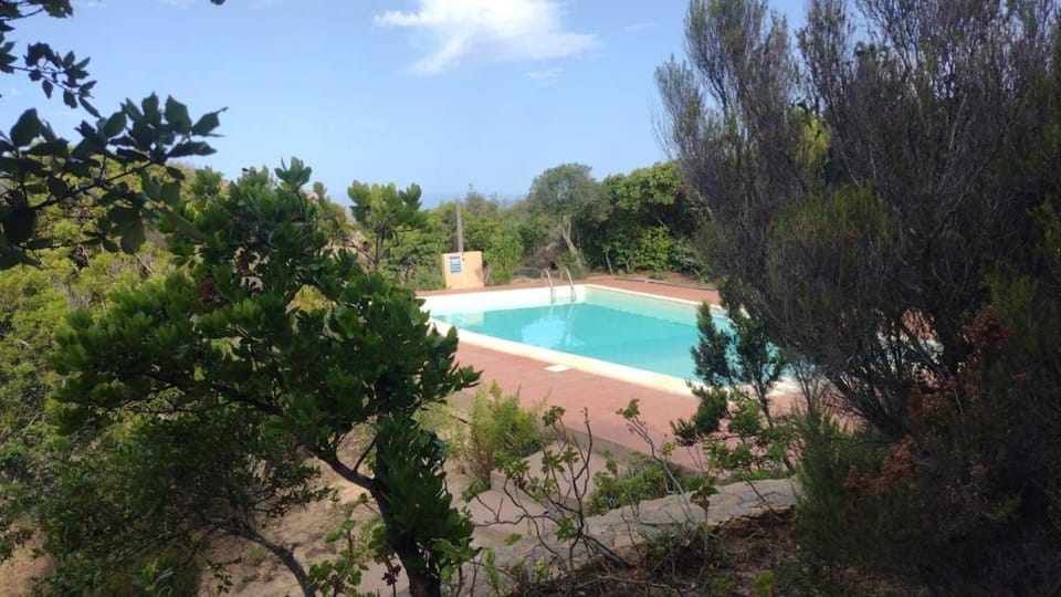 Pool view, Swimming pool, Swimming pool