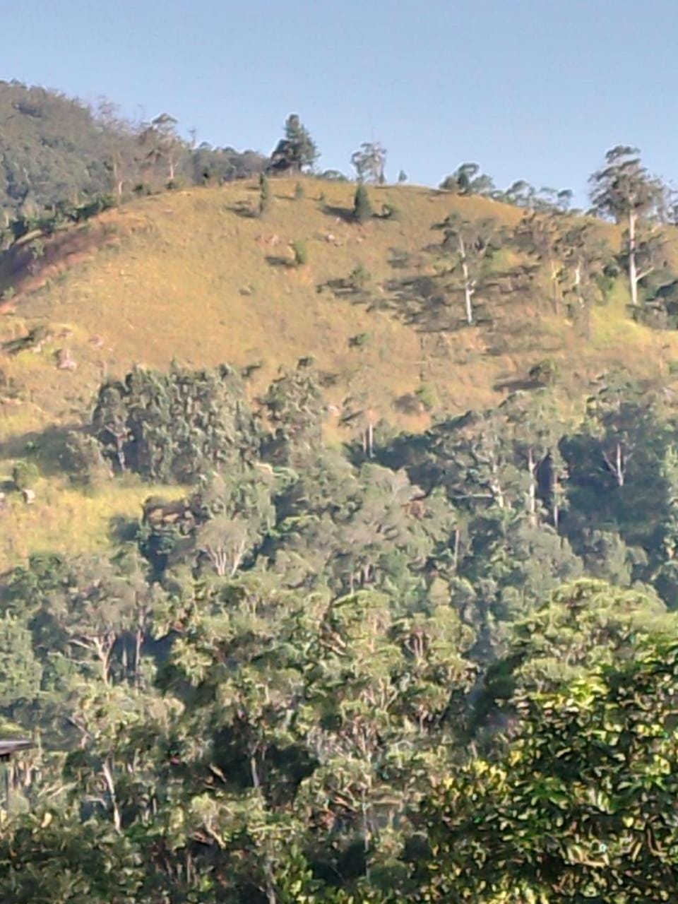 Natural landscape