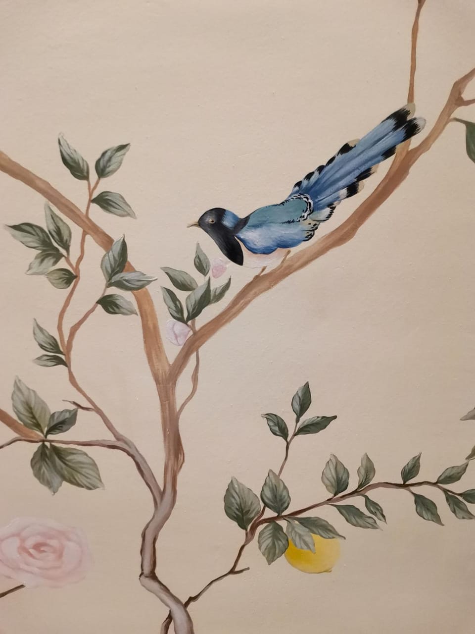 Decorative detail, pet friendly