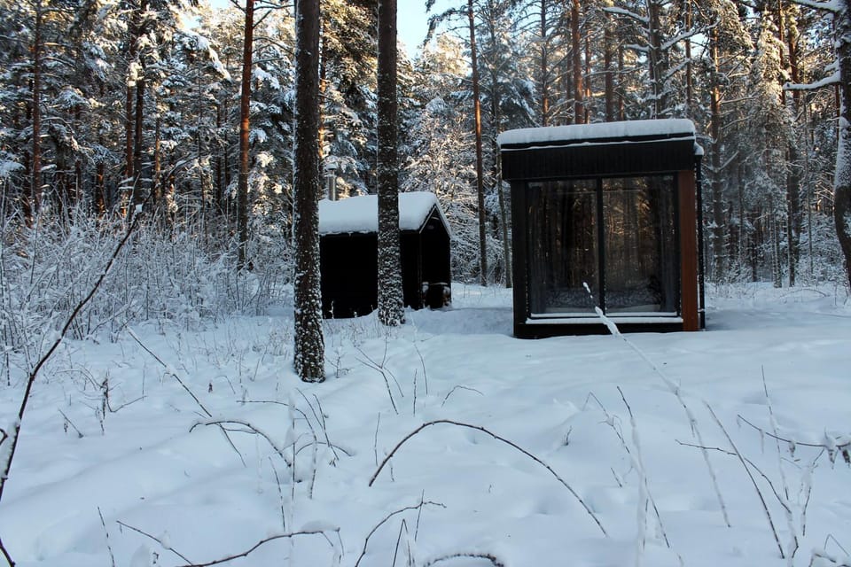 Minimaja ja saunamaja vaatega männimetsale Apartment in Harju County, Estonia