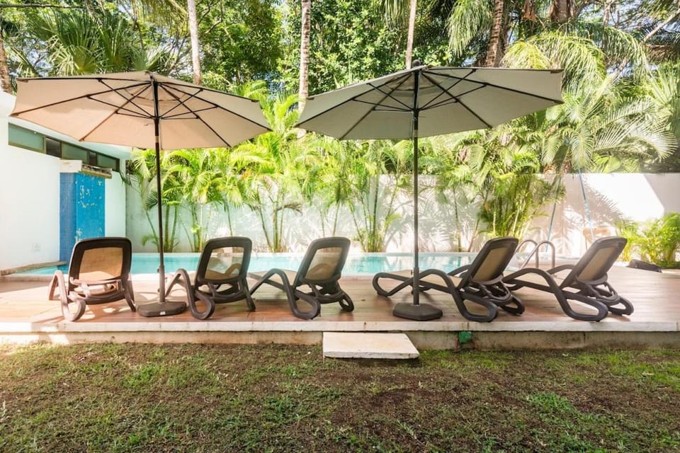 Patio, Spring, Day, Garden, Seating area, Garden view, sunbed