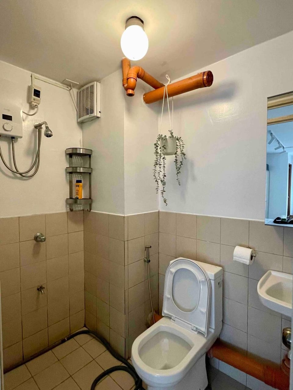 Shower, Toilet, Bathroom, bidet