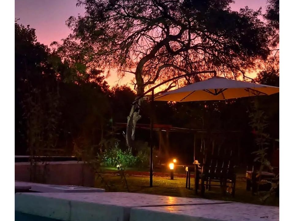 Garden view, Sunset