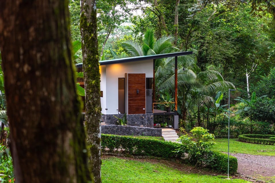 Property building, Garden view