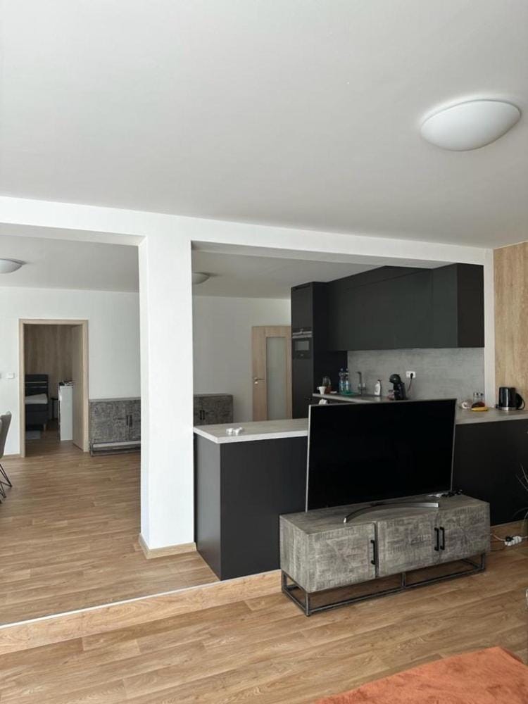 Apartmán Lesněnka Apartment in Czechia