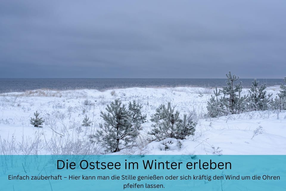 Natural landscape, Winter, Beach
